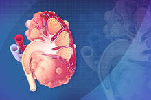 Improves Kidney Function